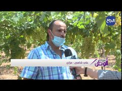 مديرية زراعة شمال الخليل تقدم خطة لمزارعي العنب لتحسين منتجاتهم