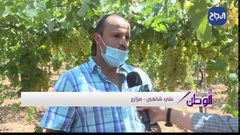مديرية زراعة شمال الخليل تقدم خطة لمزارعي العنب لتحسين منتجاتهم