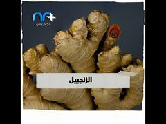 ماذا يعني برد المعدة .. وماذا نأكل خلاله؟