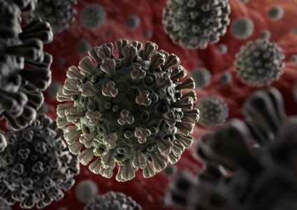 ما يقارب 32 مليون اصابة بفيروس كورونا حول العالم