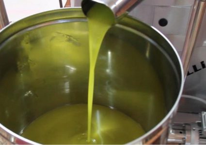 مزارعون: نسبة زيت الزيتون لا تتجاوز 30% من المحصول العام