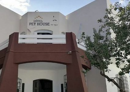 تونس: افتتاح أول فندق 5 نجوم لرعاية الحيوانات الأليفة