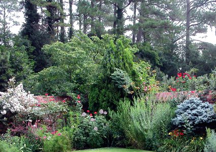 إحصائية: 39 % من نباتات العالم مهددة بالانقراض