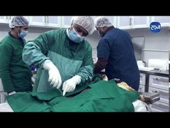 إنجازات قسم الانتاج النباتي والحيواني بكلية الزراعة بجامعة النجاح
