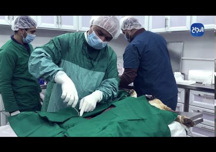 إنجازات قسم الانتاج النباتي والحيواني بكلية الزراعة بجامعة النجاح