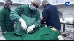 إنجازات قسم الانتاج النباتي والحيواني بكلية الزراعة بجامعة النجاح