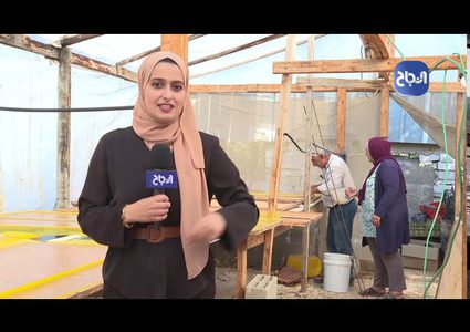 الملبن الخليلي .. مهنةٌ توارثها الحاج أبو محمد بريغيث عن أجداده