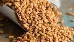 حبوب الحلبة.. فوائد مذهلة لمرضى السكري وأمراض القلب