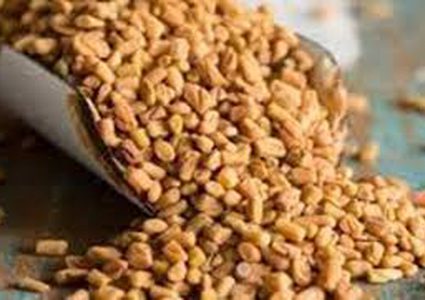 حبوب الحلبة.. فوائد مذهلة لمرضى السكري وأمراض القلب