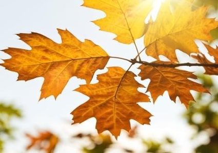 الطقس: انخفاض على درجات الحرارة مع بقائها أعلى من معدلها العام