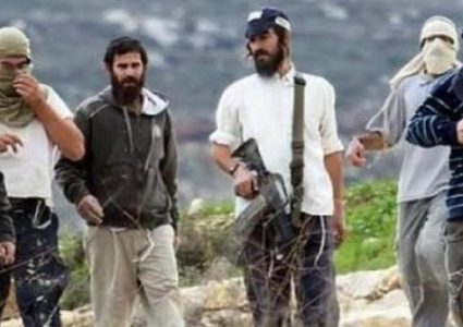 نابلس: إصابة مواطنين إثنين برضوض بعد اعتداء مستوطنين عليهما