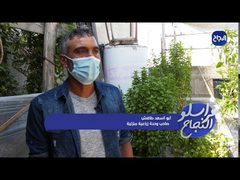 الزراعة الحضرية في غزة نمط جديد لتعزيز المساحات الخضراء