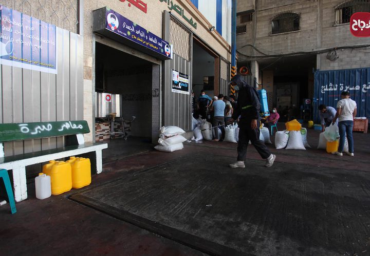 مواطنون يعصرون الزيتون بعد قطف ثماره في غزة