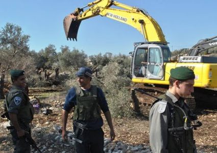 الخارجية:الاحتلال يكشف عنصريته ضد رمزية شجرة الزيتون