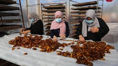 نساء يعملن في مصنع لانتاج عجوة التمر في دير البلح وسط قطاع غزة