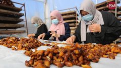 نساء يعملن في مصنع لانتاج عجوة التمر في دير البلح وسط قطاع غزة