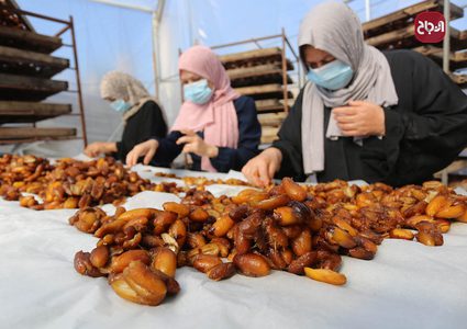 نساء يعملن في مصنع لانتاج عجوة التمر في دير البلح وسط قطاع غزة