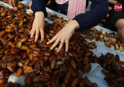 نساء يعملن في مصنع لانتاج عجوة التمر في دير البلح وسط قطاع غزة