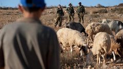 مستوطنون يعتدون على رعاة أغنام جنوب الخليل