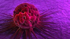 ما هي الخضار التي تعد حصن منيع ضد داء السرطان ؟