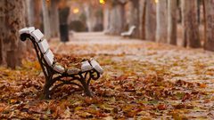 ما سر رائحة هواء فصل الخريف المميزة ؟