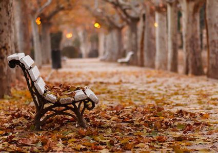 ما سر رائحة هواء فصل الخريف المميزة ؟