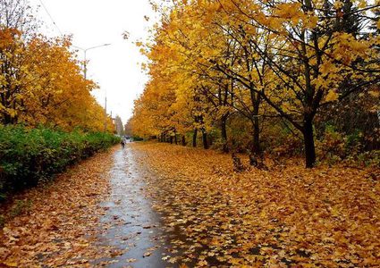 لماذا يشعر الناس بالمرض والاكتئاب في فصل الخريف ؟