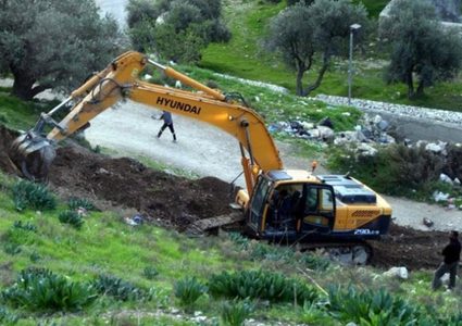 سلفيت: مستوطنون يحرقون عشرات أشجار الزيتون في بلدة دير بلوط