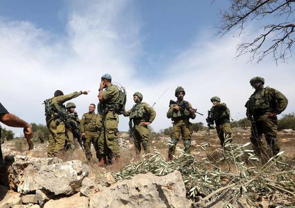 قطف الزيتون.. موسم يعكر صفو تفاصيله الاحتلال