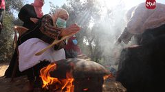 سيدات يصنعن الخبز خلال موسم قطف الزيتون بغزة