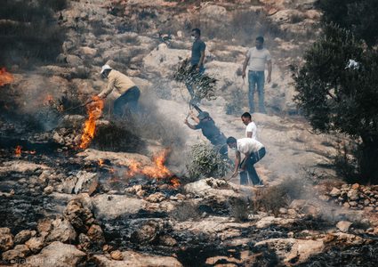 قوات الاحتلال تقمع فعالية لزراعة الأشجار بقرية بيت دجن شرق نابلس
عدسة :فراس أبو جيش