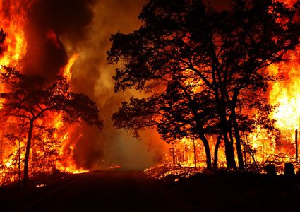 الدفاع المدني: تعاملنا مع 60 حريقا في ظل ارتفاع درجات الحرارة
