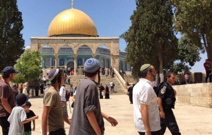 القدس: مستوطنون يؤدون طقوسا تلمودية في سوق القطانين التاريخي