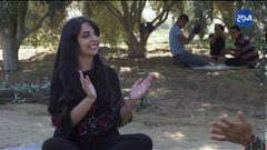 أجواء قطاع غزة في موسم قطف الزيتون