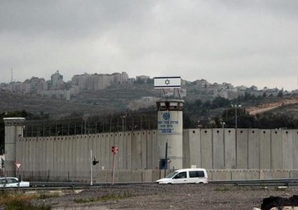 المؤتمر القومي العربي يجديد تضامنه مع الأسرى الفلسطينيين المضربين