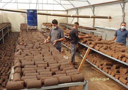 مهندسون يحولون عصارة الزيتون "الجفت" لقوالب تستخدم في الطهي