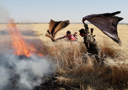 سوريا: إخماد كافة الحرائق البالغ عددها 156