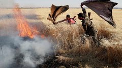 سوريا: إخماد كافة الحرائق البالغ عددها 156