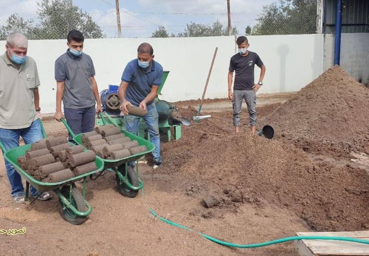 مهندسون زراعيون يحولون جفت الزيتون الى قوالب تستحدم في الطهي بديلاً عن الغاز المنزلي بتكلفة مالية أقل من خلال جهاز مصنع محلياً جنوب قطاع غزة

تصوير: حسن اصليح