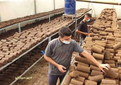 مهندسون زراعيون يحولون جفت الزيتون الى قوالب تستحدم في الطهي بديلاً عن الغاز المنزلي بتكلفة مالية أقل من خلال جهاز مصنع محلياً جنوب قطاع غزة

تصوير: حسن اصليح