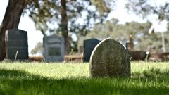 أمريكا.. طالبة مدرسة تزور المقبرة يوميا بسبب الانترنت