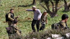 مستوطنون يسرقون ثمار الزيتون غرب سلفيت