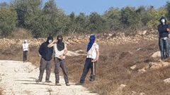 مستوطنون يهاجمون قاطفي الزيتون جنوب رام الله