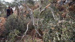 الاحتلال يشرع بنصب سياج في منطقة أثرية شرق بيت لحم