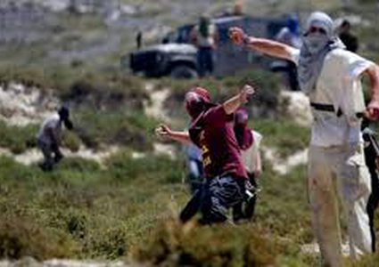 اصابة مواطنين عقب اعتداء مستوطنين على قاطفي الزيتون ببرقة