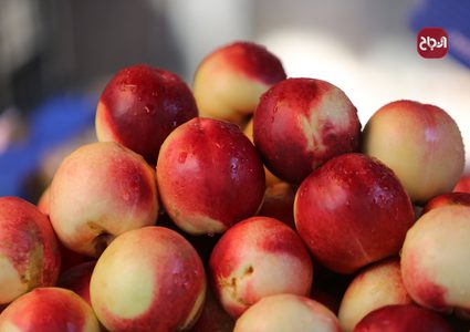 جولة في أسواق مدينة نابلس
عدسة : النجاح الاخباري