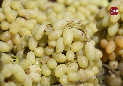 جولة في أسواق مدينة نابلس
عدسة : النجاح الاخباري