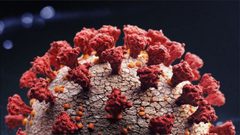 تحذير.. كورونا قد يسبب فقدانا مفاجئا ودائما للسمع