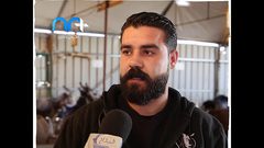 مستشفى الحمير الأول من نوعه بفلسطين