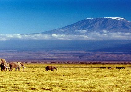 شاهد اندلاع حريق في أعلى قمة جبل في إفريقيا